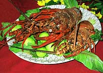 Lobster Dinner!